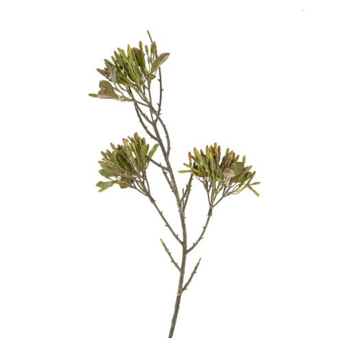 Wild Flower Spray, Green